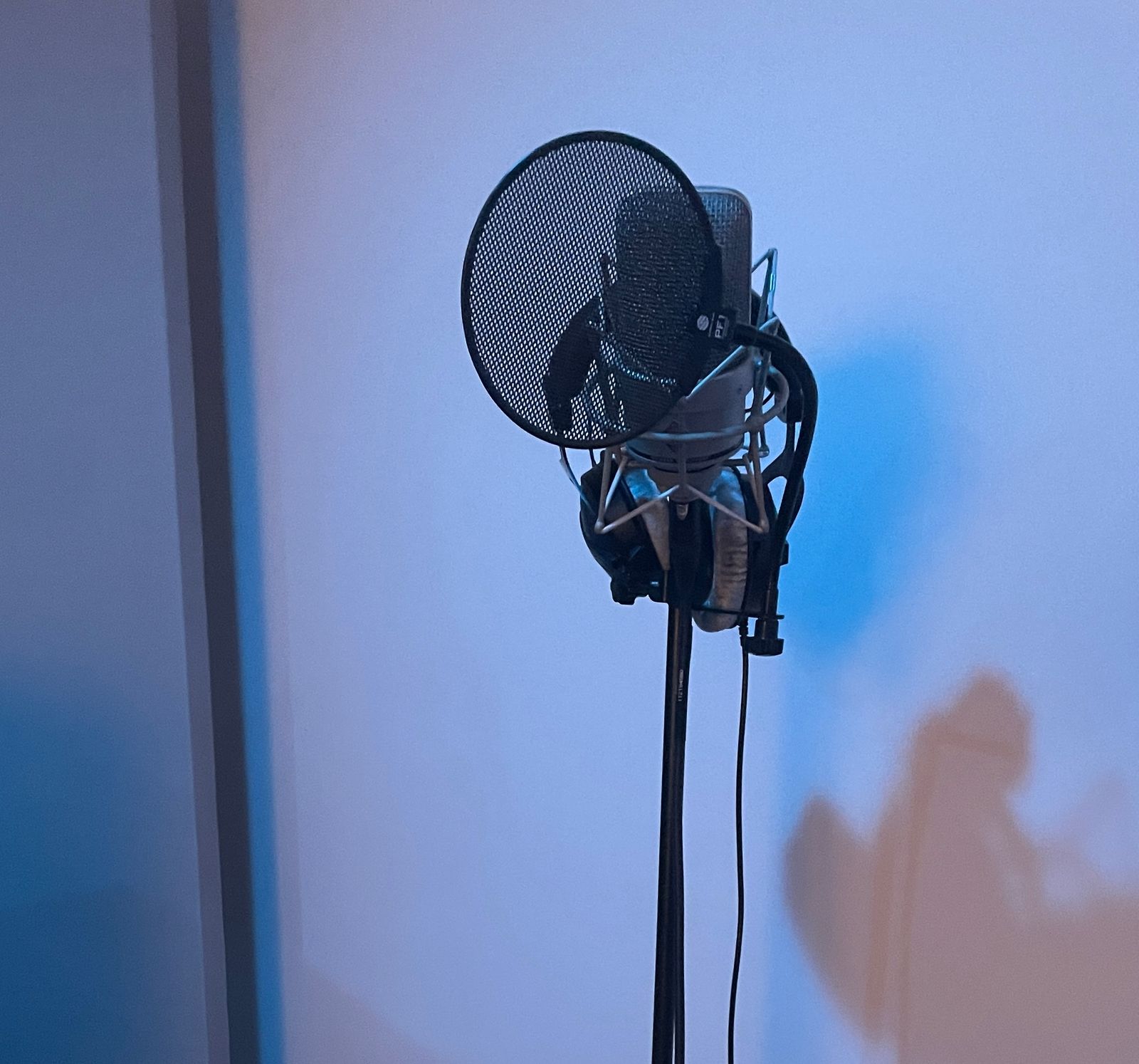 Neumann microphone — Space Age Sound Studio